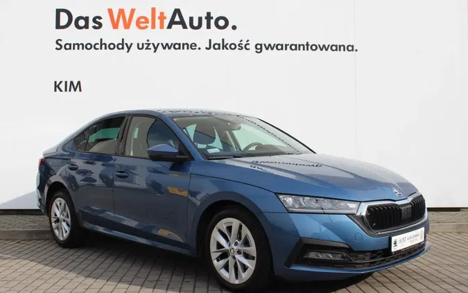 lubuskie Skoda Octavia cena 94566 przebieg: 37350, rok produkcji 2021 z Gniew